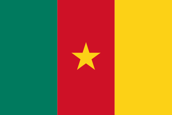 Kamerun logo