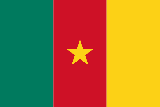 Cameroon U23 logo