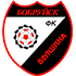 Biełszyna Bobrujsk logo