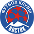 Vostok logo