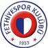 logo Fethiyespor