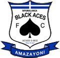 Mpumalanga Black Aces logo