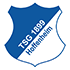 Hoffenheim logo