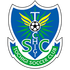 logo Tochigi SC