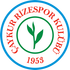 logo Rizespor