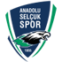 logo Anadolu Selcukspor