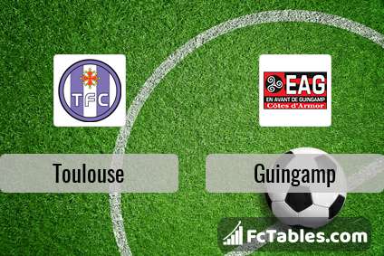 Preview image Toulouse - Guingamp