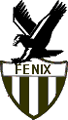 CA Fenix logo