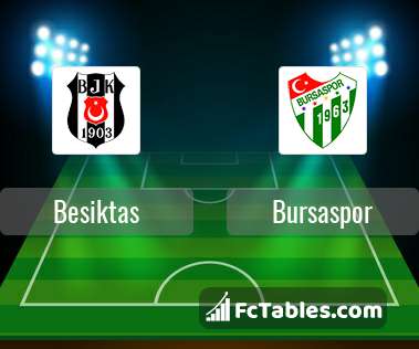 Anteprima della foto Besiktas - Bursaspor