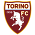 Torino logo