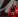 Hakim Ziyech