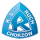Ruch Chorzów logo