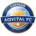 Aqvital FC Csakvar logo