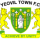 Yeovil Town logo