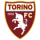 Torino logo