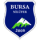 Bursa Niluferspor logo