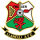 Llanelli logo