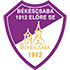 Bekescsaba logo