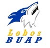 Lobos de la BUAP logo