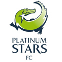 Platinum Stars logo