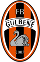 FB Gulbene logo