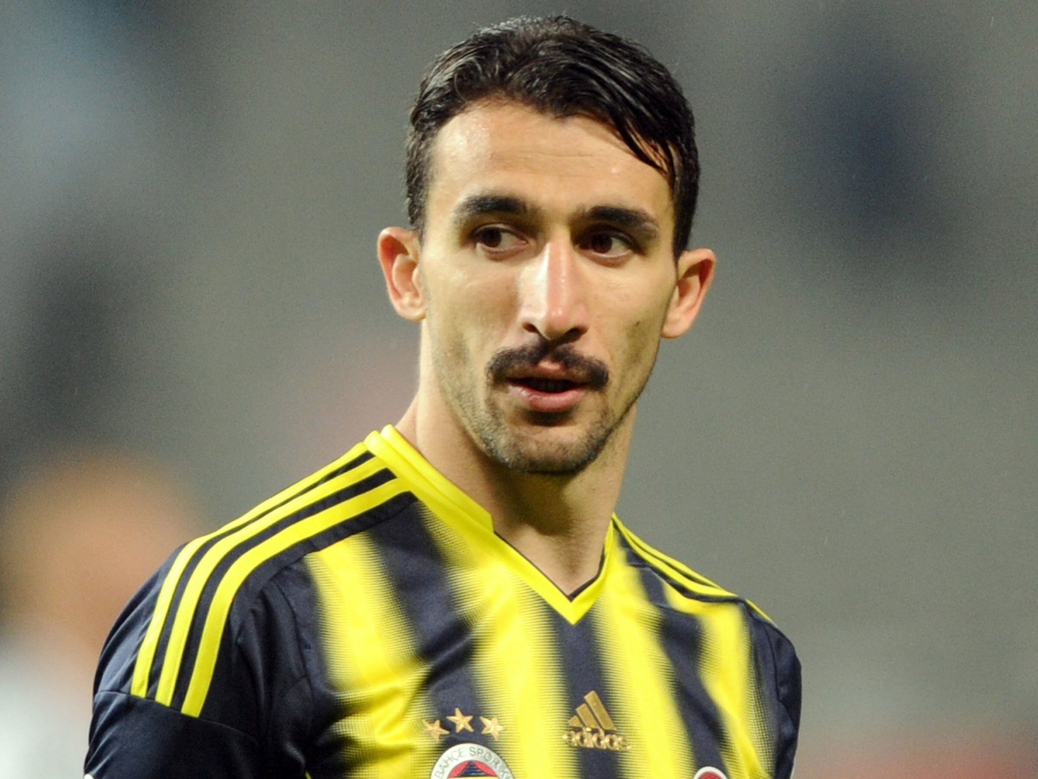 Mehmet Topal - Player profile