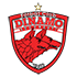 Dinamo Bucuresti logo