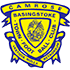 Basingstoke logo