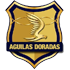 Atletico Nacional logo