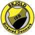 Birkeroed logo