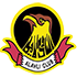 Al Ahli logo