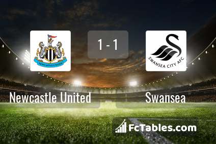 Podgląd zdjęcia Newcastle United - Swansea City
