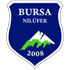 Bursa Niluferspor logo