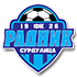 FK Radnik Surdulica logo