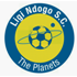 Ligi Ndogo logo