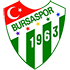 logo Bursaspor