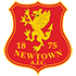 Newtown logo