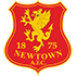 logo Newtown