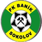 Sokolov logo